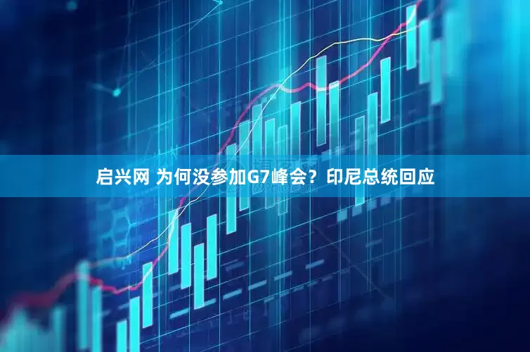 启兴网 为何没参加G7峰会？印尼总统回应
