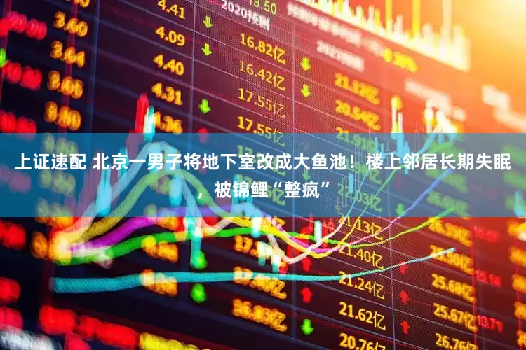 上证速配 北京一男子将地下室改成大鱼池！楼上邻居长期失眠，被锦鲤“整疯”