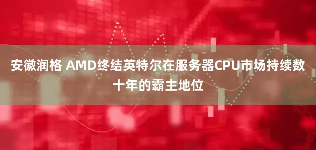 安徽润格 AMD终结英特尔在服务器CPU市场持续数十年的霸主地位