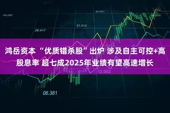 鸿岳资本 “优质错杀股”出炉 涉及自主可控+高股息率 超七成2025年业绩有望高速增长