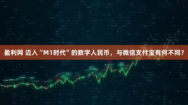 盈利网 迈入“M1时代”的数字人民币,与微信支付宝有何不同?